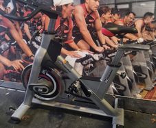 Pulse ps300 spin bike