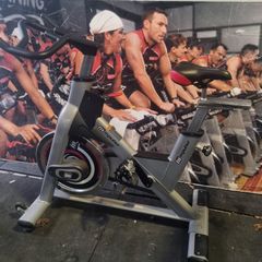 Ps300 pulse spin bike