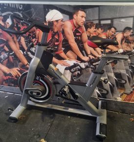 Impulse Ps300 Spin Bike Top Brand