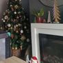 free electric fire Image 2
