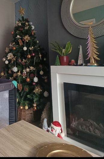 free electric fire