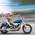 hounddog