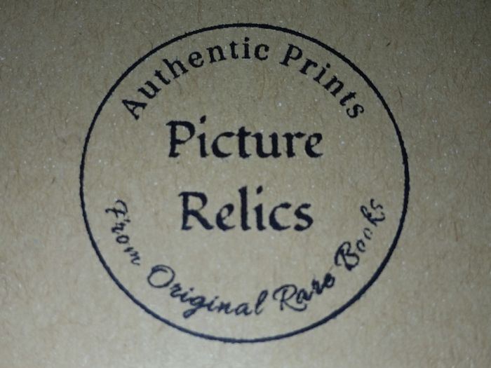An Original Rare Antique Print from Picture Relics - (1515) by RAPHAEL