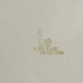 Antique Arklow pottery 1930s early green stamp spongeware plates Image 10