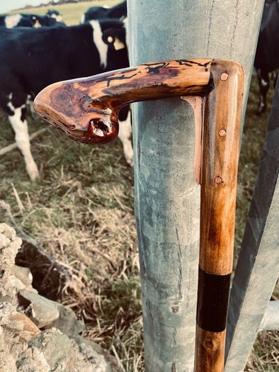 Unique handcrafted Antique Cane