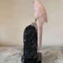 Rose Quartz Parrot on Large Amethyst Geode Cluster Base Image 2