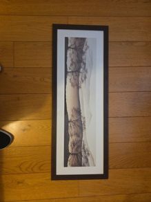 print