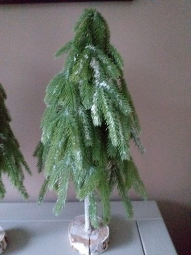 Christmas Trees X 3