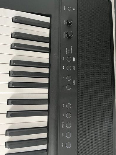 Electronic Piano