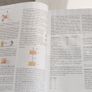 University Physics with Modern Physics 15th Ed (Young & Freedman) - UNUSED/ LIKE NEW Image 4
