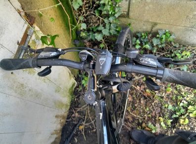 TREK Hybrid