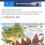 Hardback Dinosaur Book Image 4