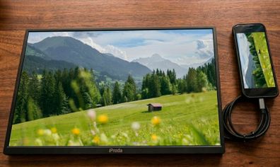 18.5" Portable Monitor - Very thin - 120 Hz - price firm
