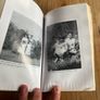 The Fethard-On-Sea Boycott by Tim Fanning Book Image 7