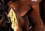 Leather Saddle
