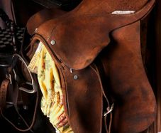 Leather Saddle