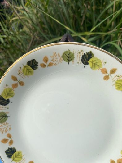 2 Arklow pottery side plates