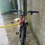 Red apollo phaze mountain bike Image 4