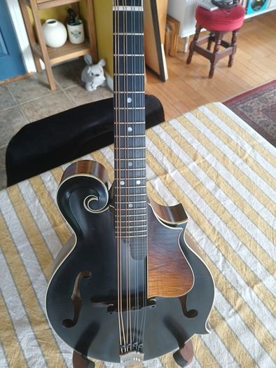 Coostar F5 Mandolin