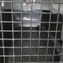 transport box for dog or cat Image 3