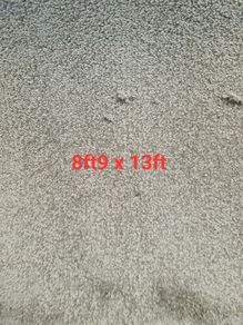 carpet 8ft9 x 13ft
