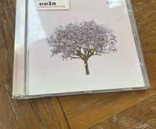 Eels - Tomorrow Morning