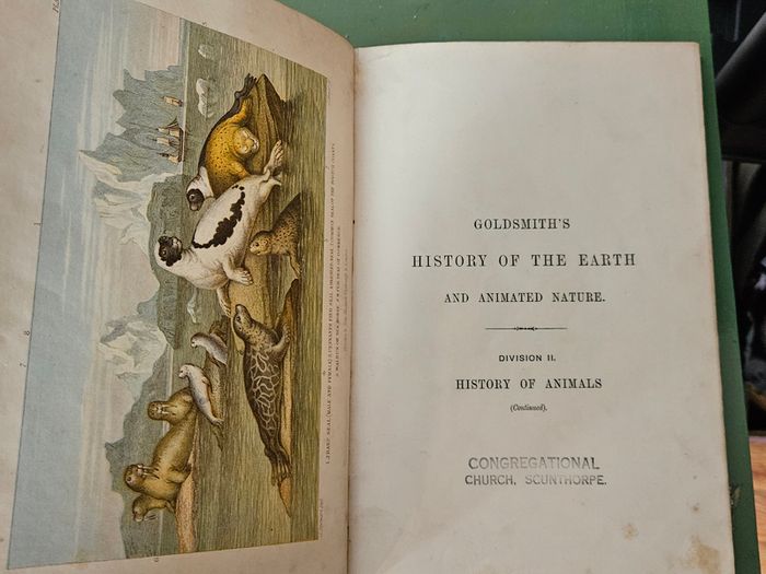 Goldsmiths  Animated Nature Vol 2 History of Animals