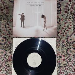 Nick Cave & The Bad Seeds: Push The Sky Away LP