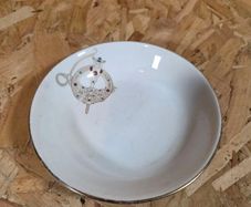 Royal Tara Aer Lingus bowl