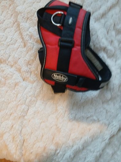 Nobby dog harness
