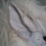 Wolf Mask Image 5