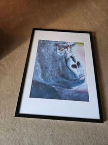 Framed Print