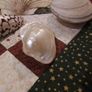 Decorative Shells Image 2