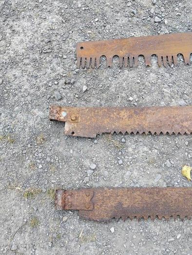 Three vintage crosscut saw blades,