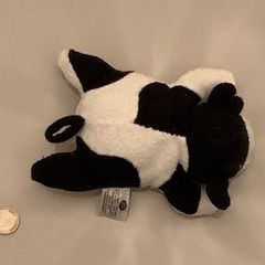 Cow Bath Scrub