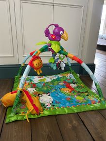 Jungle gym (Fisher Price)