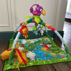 Jungle gym (Fisher Peon)