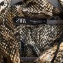 Zara snake skin dress Image 3