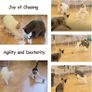 Interactive Cat Ball Toy Set, Fun Tracker, Automatic Rolling Chase Ball with Fluffy Tail, A Small Mice, Rechargeable Image 5