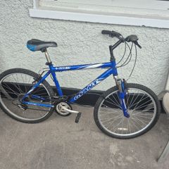 giant bike