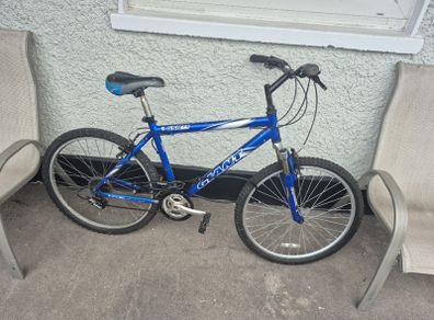 giant bike