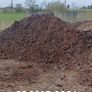 mushroom compost Image 4