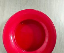 Free Dog Bowl