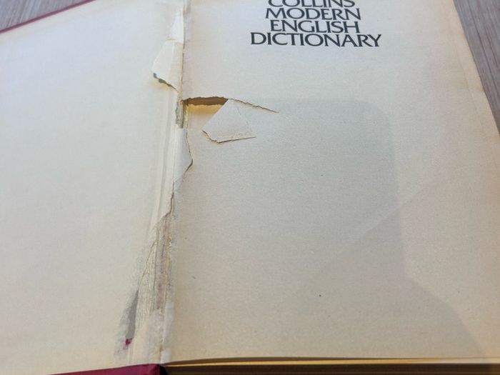 Vintage The Collins Modern English Dictionary