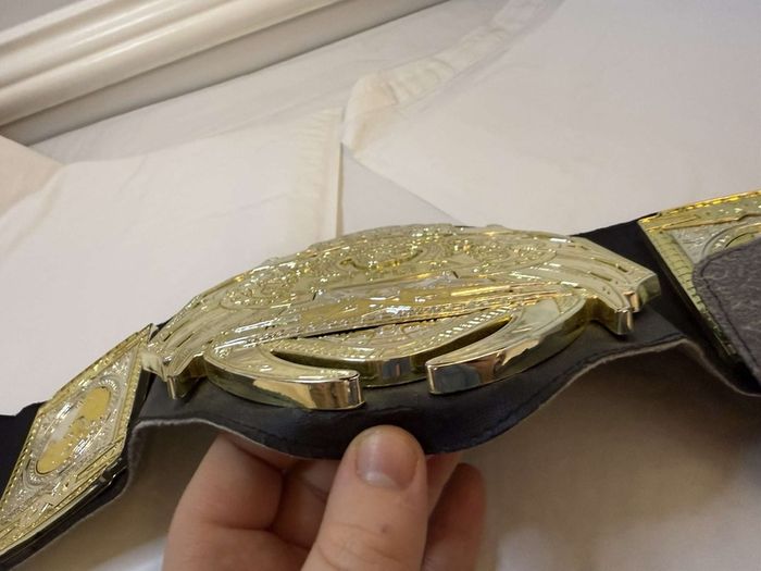 wwe Jakks specific TNA World heavyweight championship kids belt