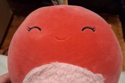 Cherry the Squishmallow
