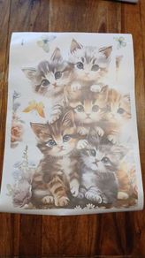 Cute Cats Wall Sticker Decal