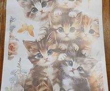Cute Cats Wall Sticker Decal