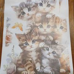 Cute Cats Wall Sticker Decal