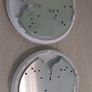 2x Ubiquiti Unifi U6 Pro Image 3